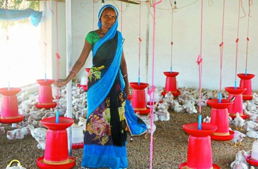 मुर्गी पालन कर महिलाएं बनी स्वावलंबी