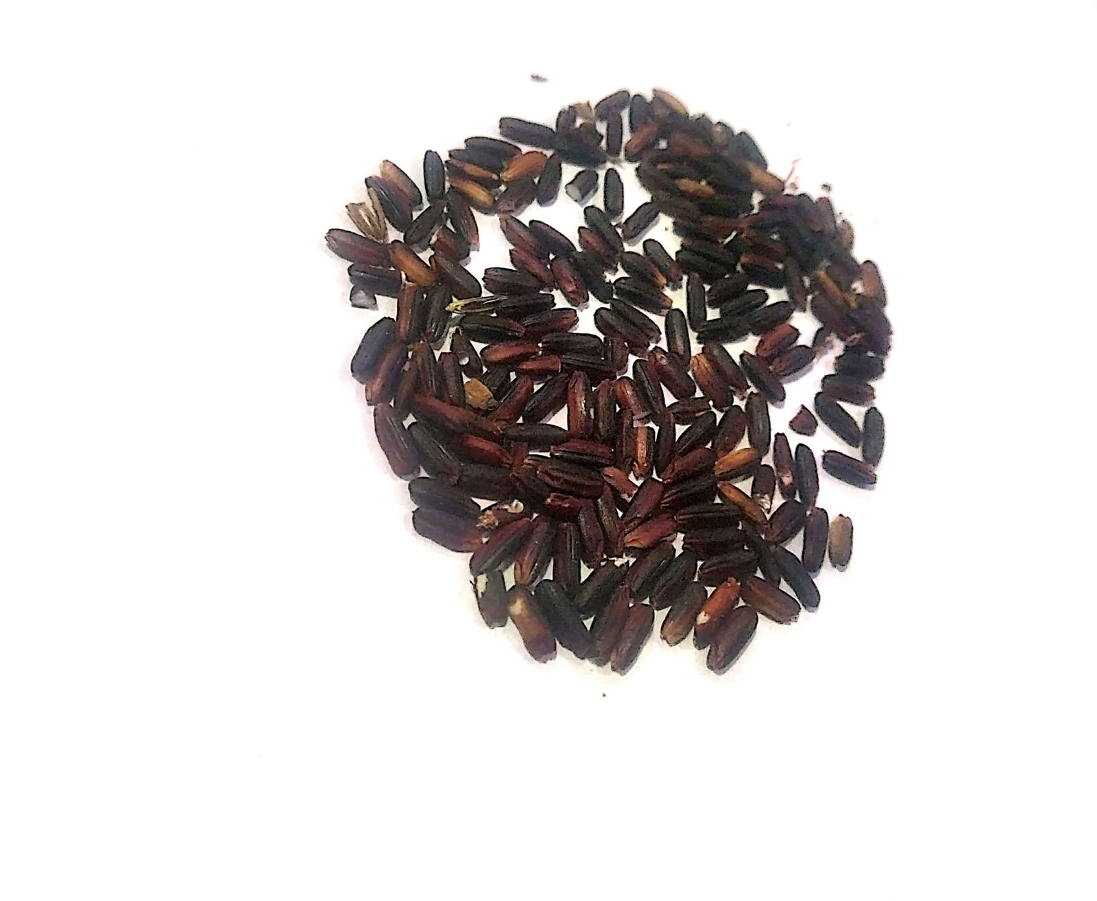 पौष्टिक तत्वों से भरपूर है ब्लैक राइस