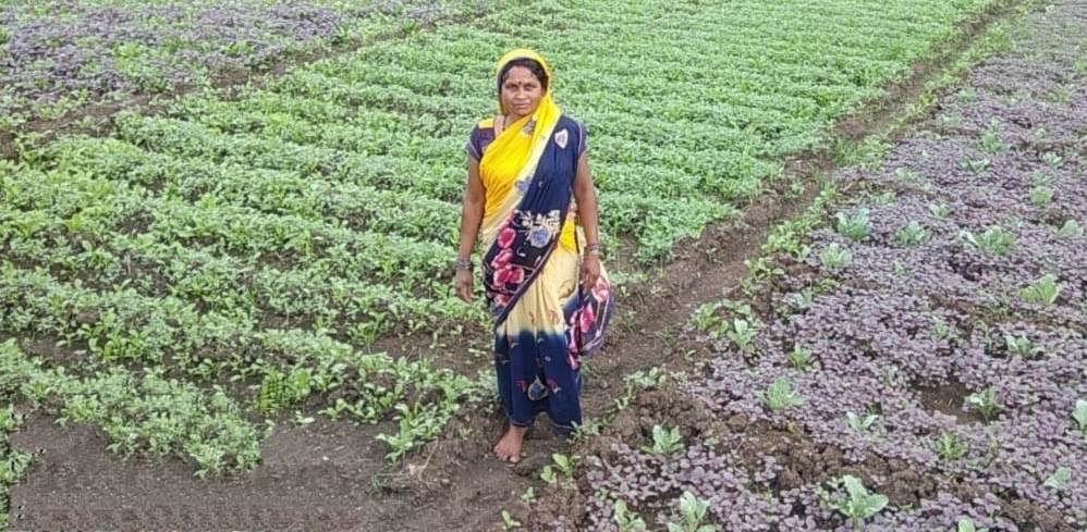 2 साल में 2 लाख से अधिक बाडिय़ों का हुआ विकास