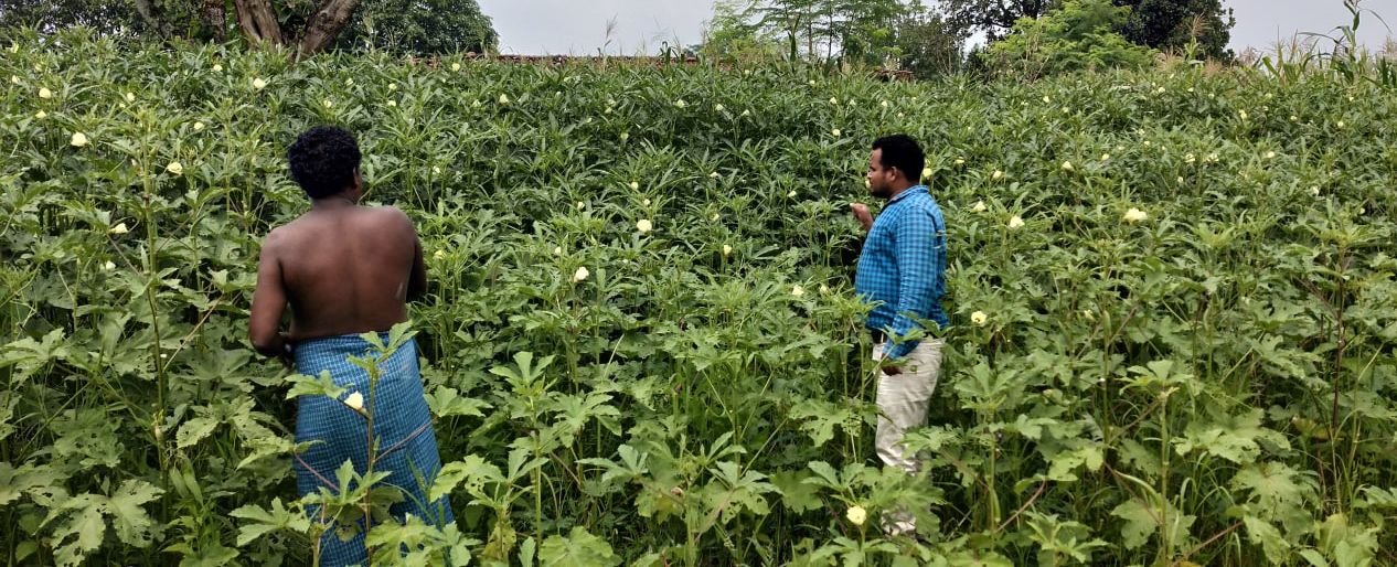 सामान्य किसानों के लिए संजीवनी बना मनरेगा