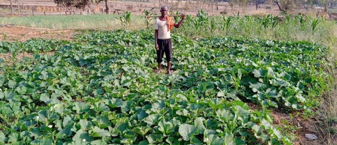 मनरेगा ने दिखाई राह तो अकुशल रोजगार की चिंता से मुक्त हुए गोपाल