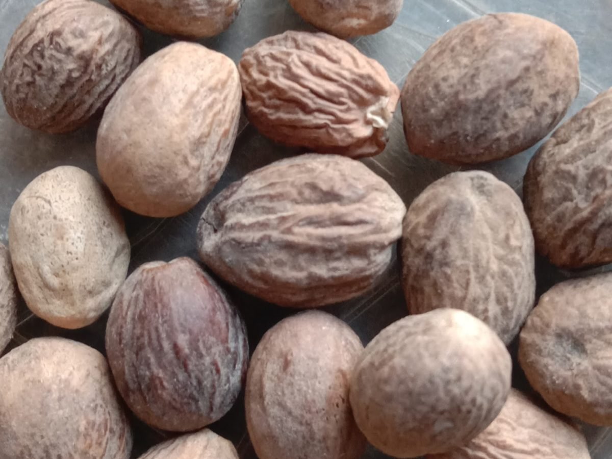 जायफल की खेती