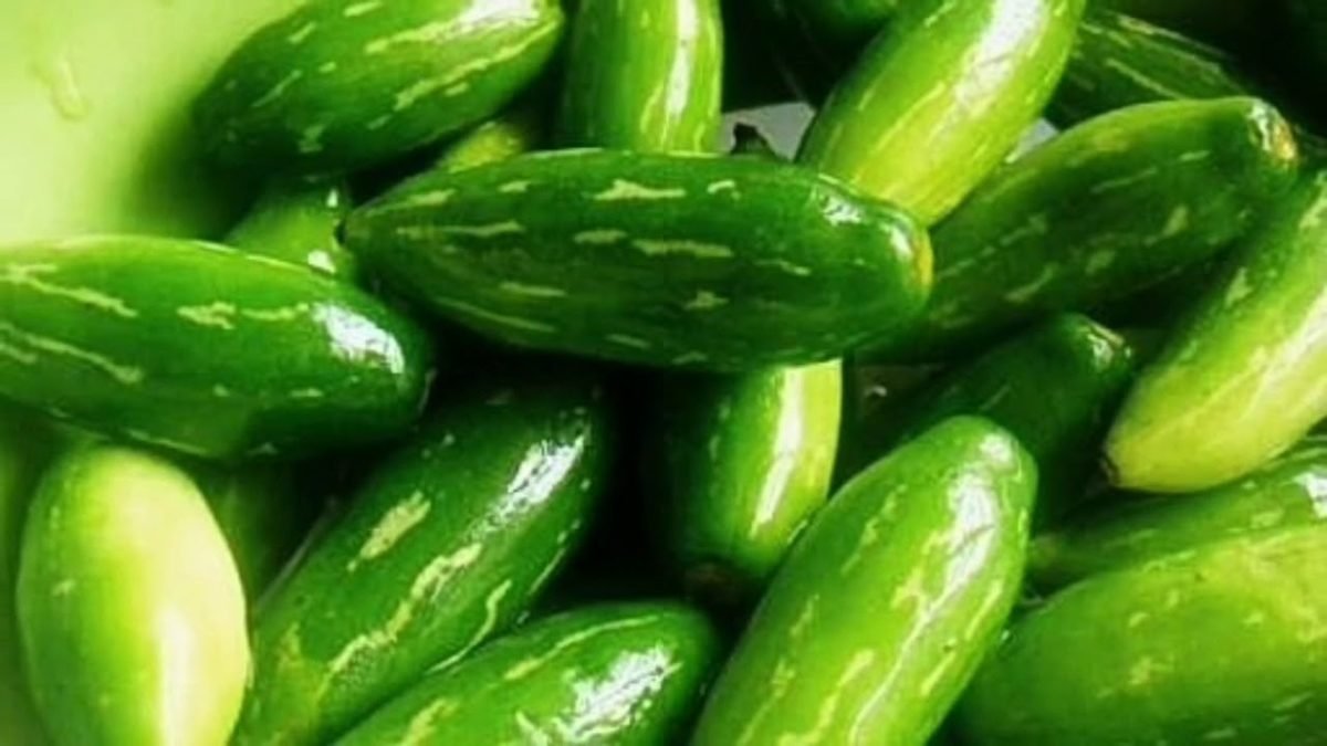 कुंदरू की खेती