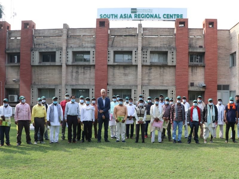 Mega Farmer’s training and rice cafeteria participatory trial evaluation at IRRI SAARC