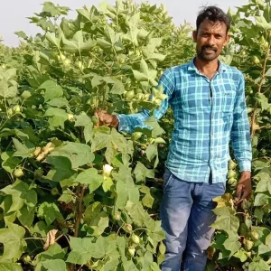 देवी सिंह ग्राम मंगरोला