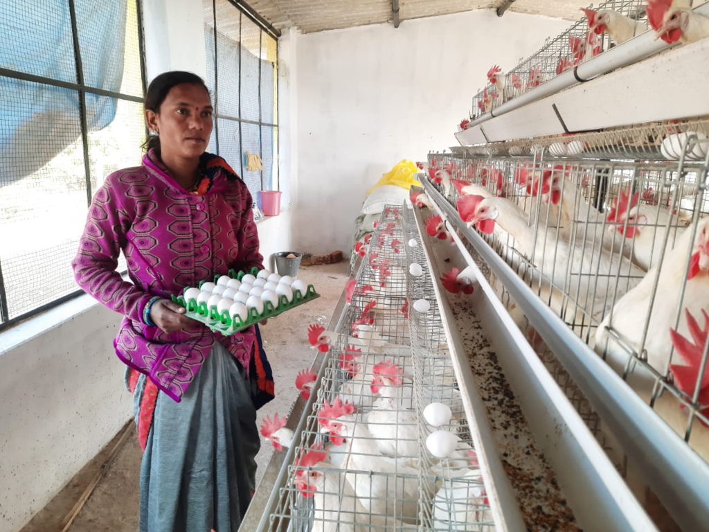 मुर्गीपालन