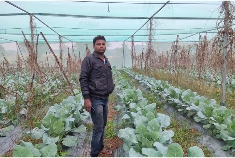 सरकारी मदद से सब्जियों का उत्पादन...सालभर में ढाई लाख की आमदनी