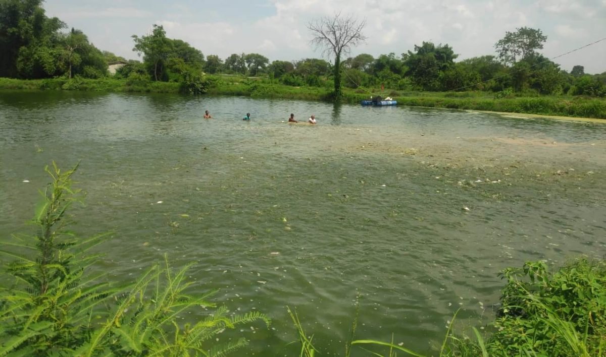 मछली पालन में मुनाफा ही मुनाफा...अनुदान भी