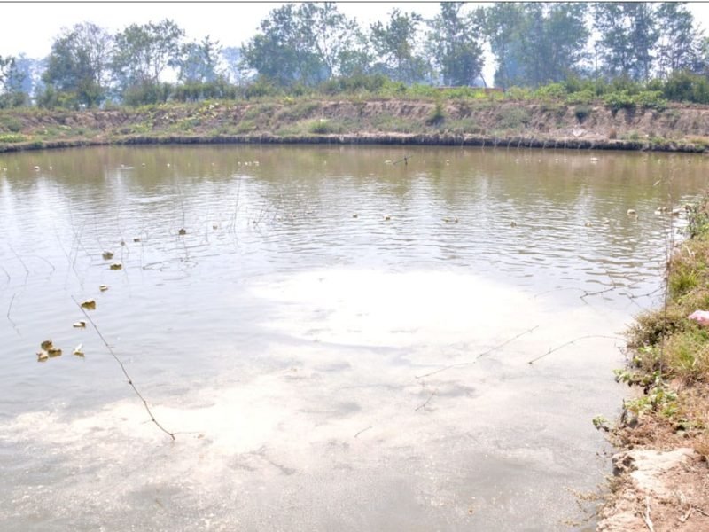 डबरी बदल रही किसानों की जिंदगी