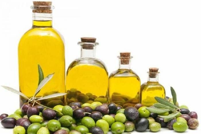 जैतुन की खेती और व्यापारिक लाभ