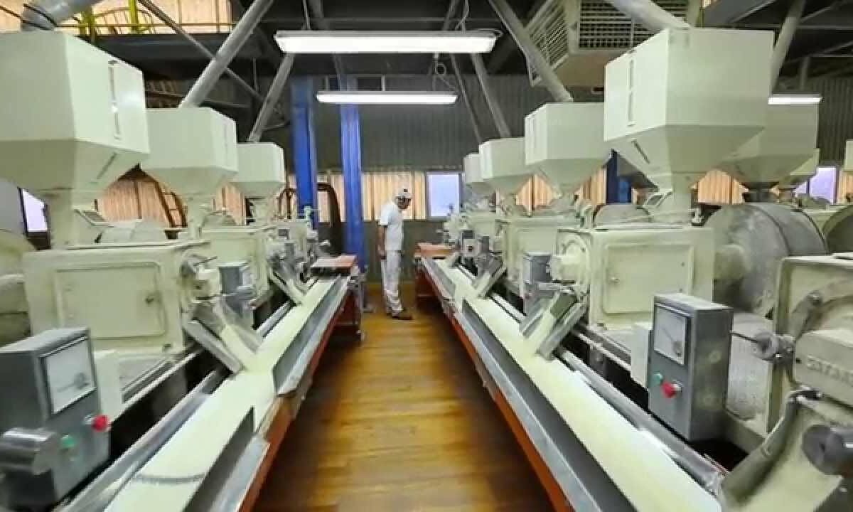 A Detailed Guide on Rice Milling in India