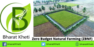 Zero Budget Natural Farming (ZBNF)