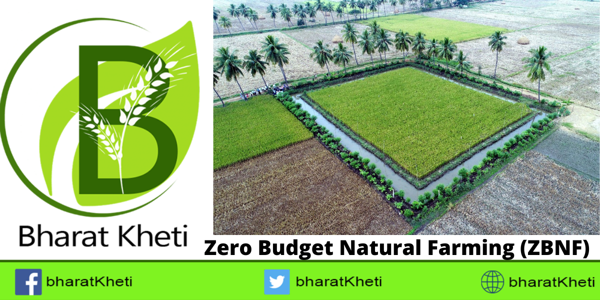 Zero Budget Natural Farming (ZBNF)