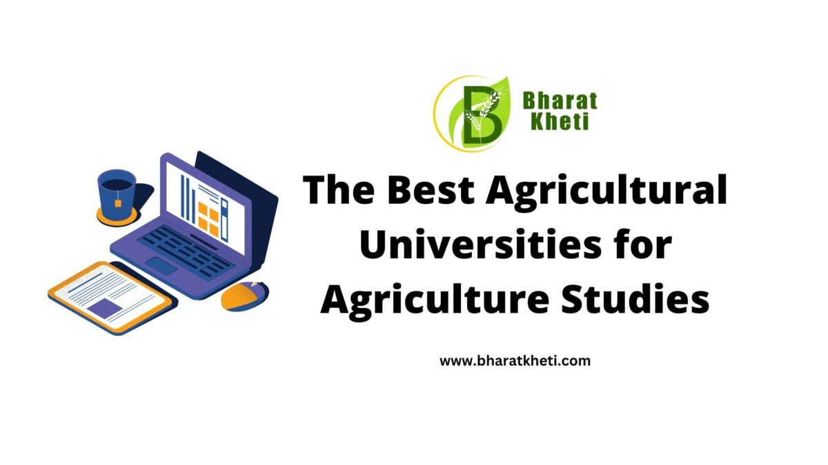 The Best Agricultural Universities in India for Agriculture Studies