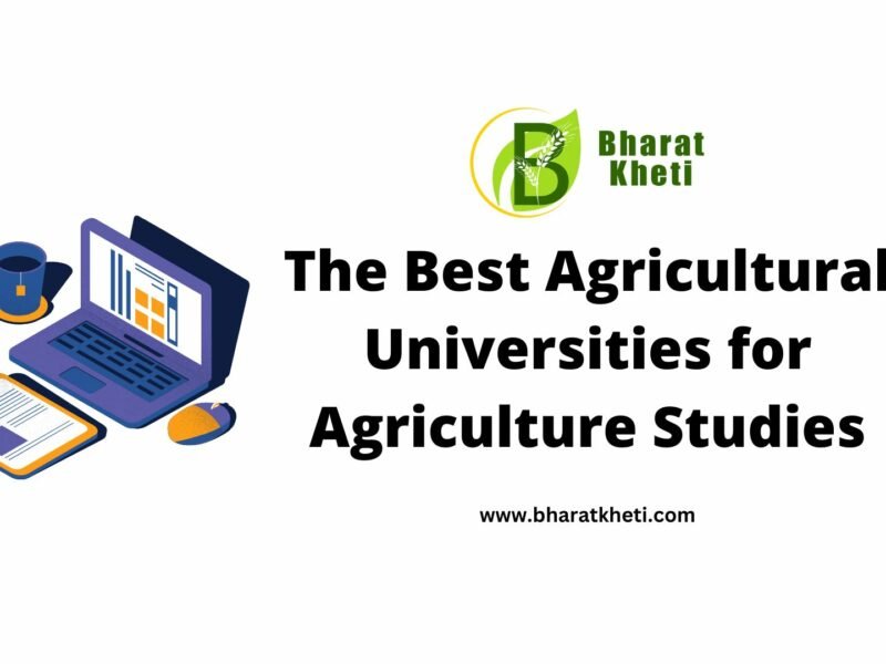 The Best Agricultural Universities in India for Agriculture Studies